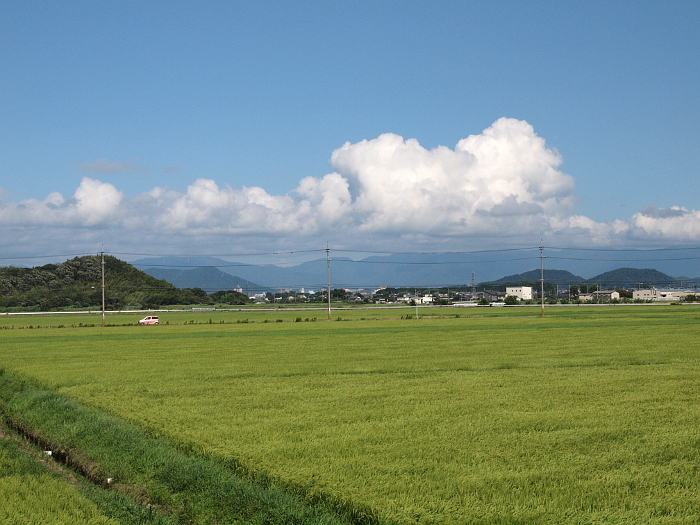 写真拡大