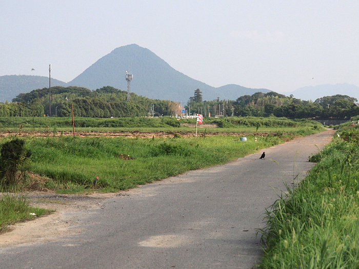 写真拡大