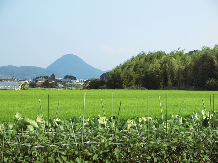 写真拡大