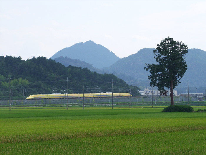 写真拡大