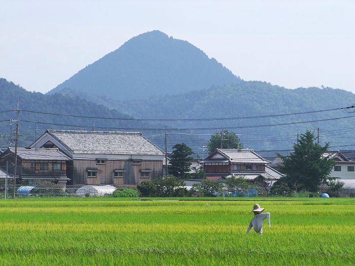 写真拡大