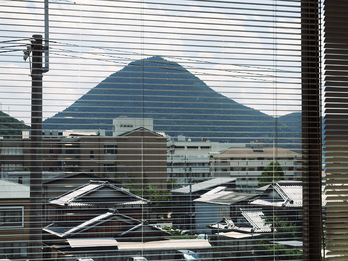 写真拡大