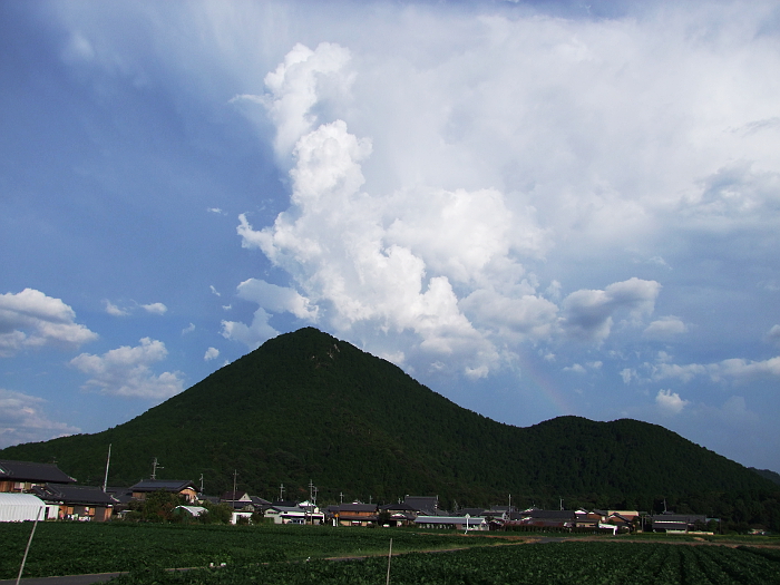 写真拡大