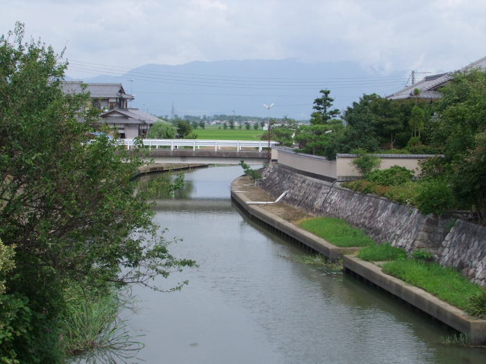写真拡大