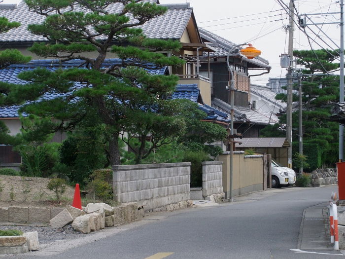 写真拡大