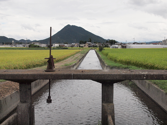 写真拡大