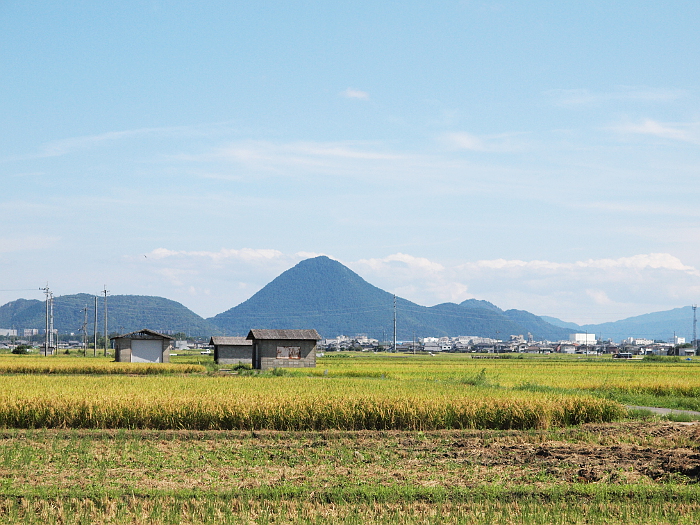 写真拡大