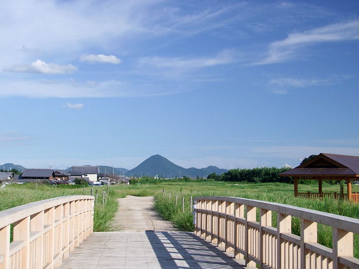 写真拡大
