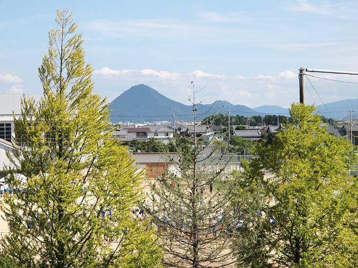 写真拡大