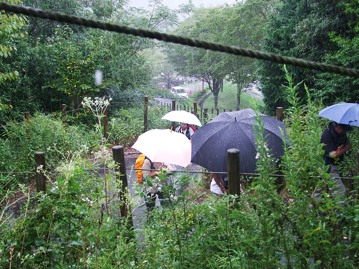 写真拡大