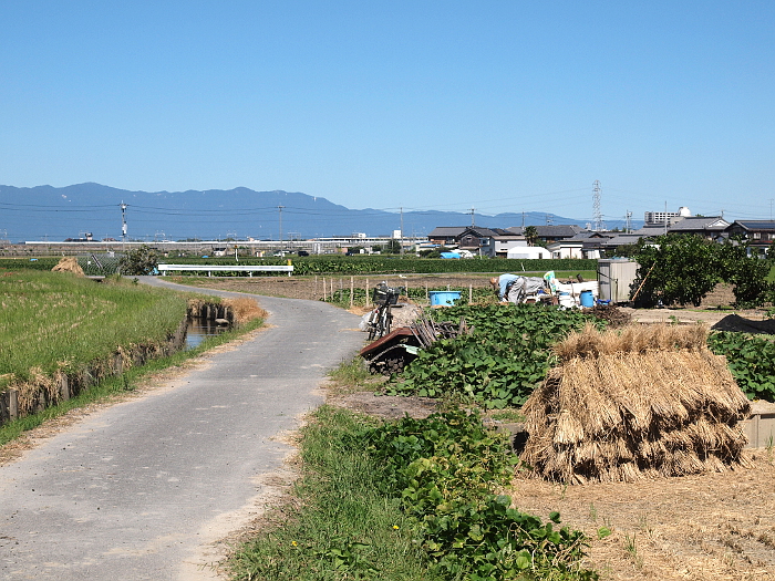 写真拡大