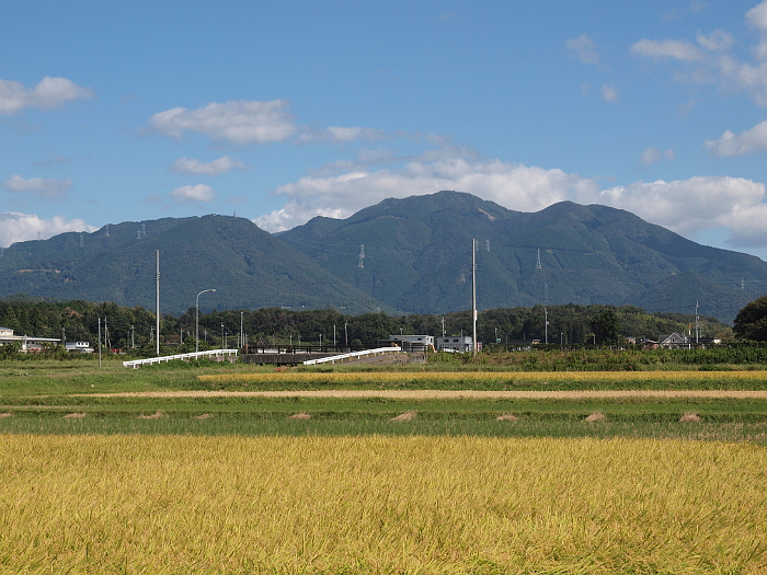 写真拡大