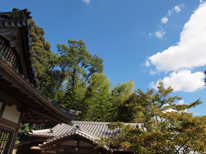 写真拡大