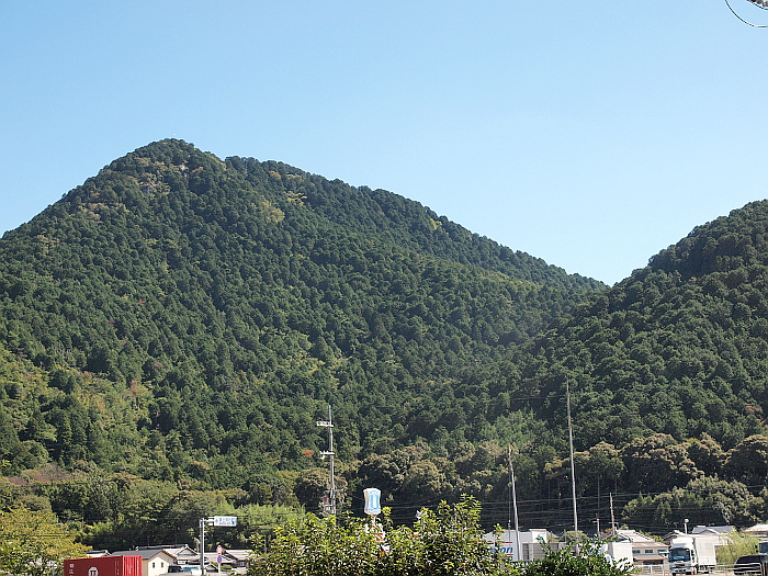 写真拡大