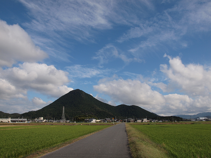 写真拡大