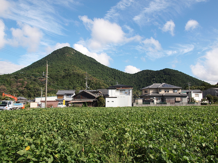 写真拡大