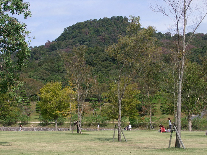 写真拡大