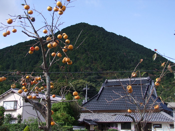 写真拡大