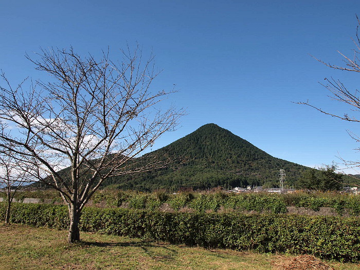 写真拡大