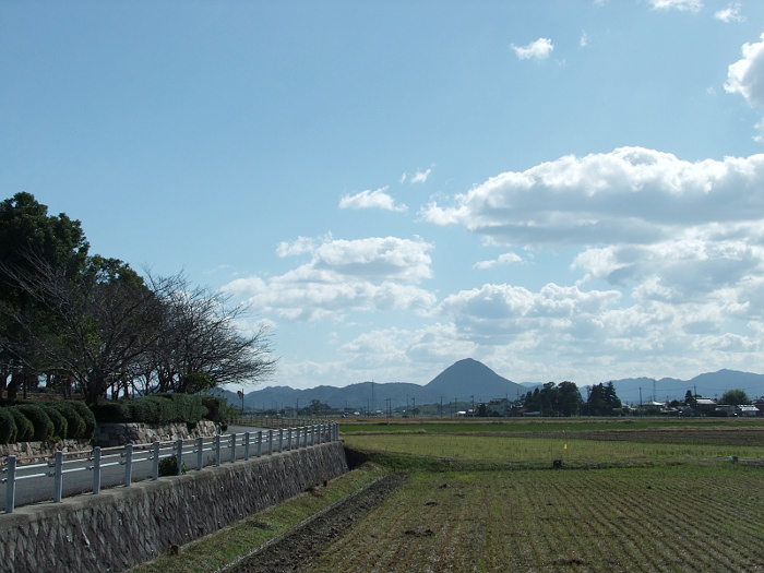 写真拡大