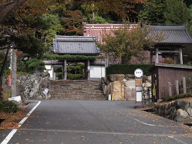 写真拡大