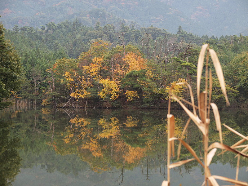 写真拡大