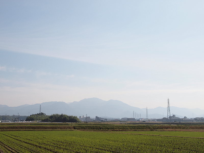写真拡大