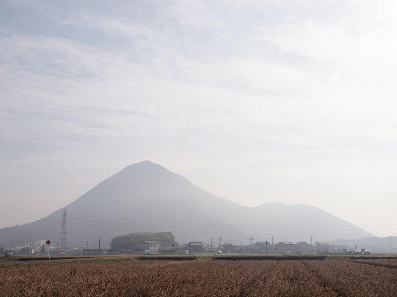写真拡大