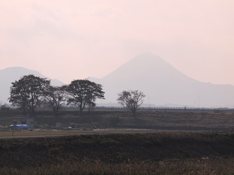 写真拡大