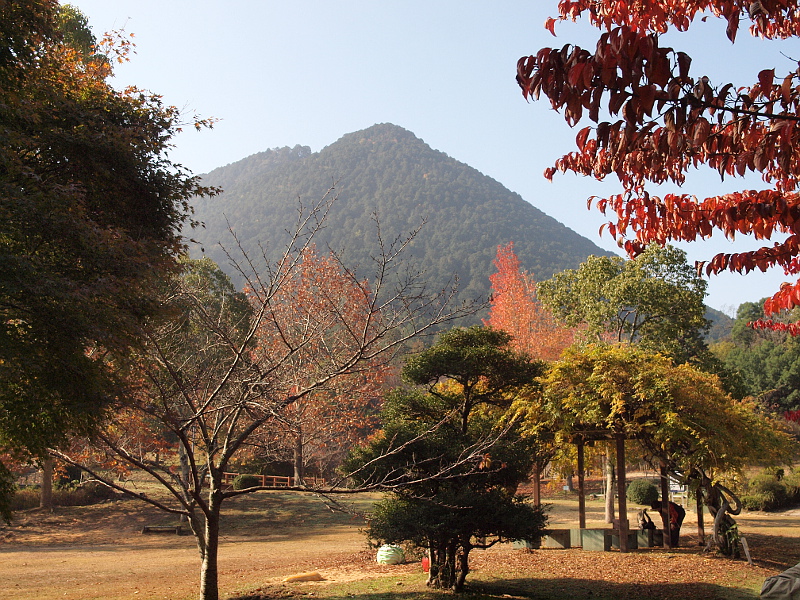 写真拡大