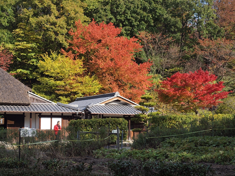 写真拡大