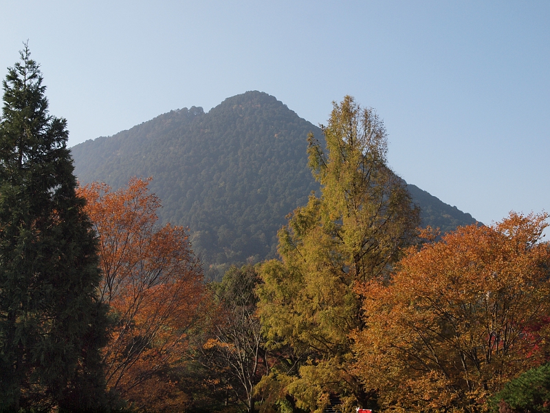 写真拡大
