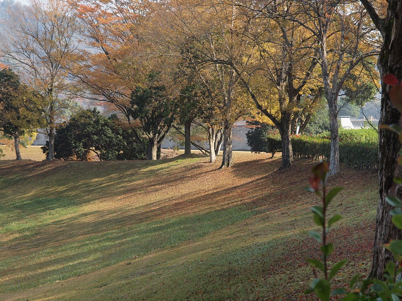 写真拡大