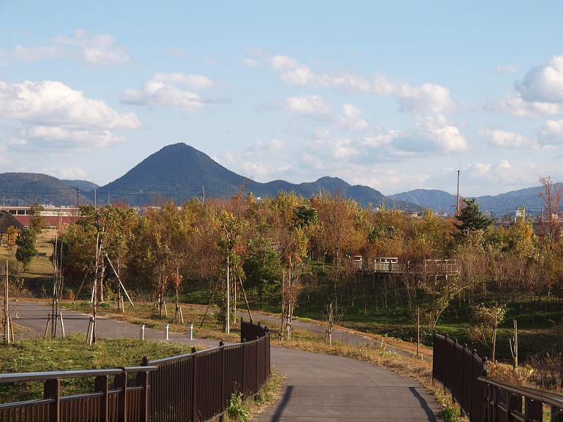 写真拡大
