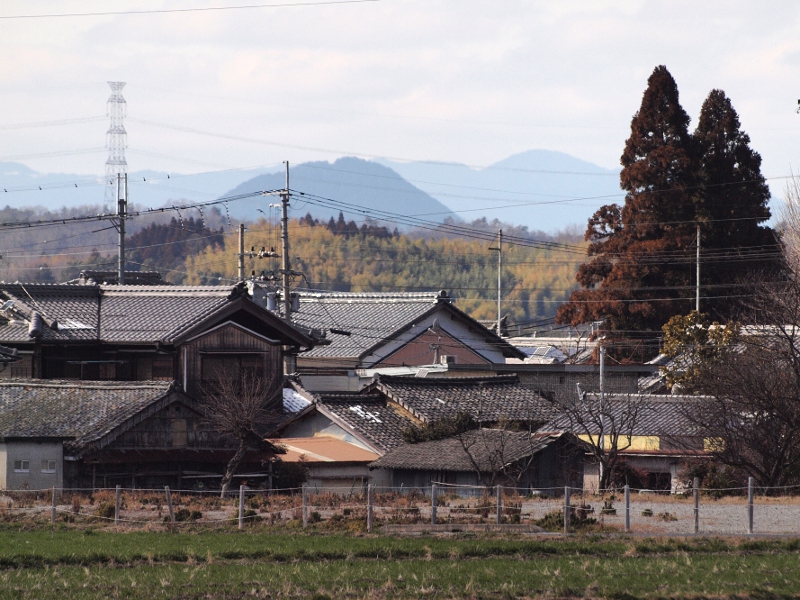写真拡大