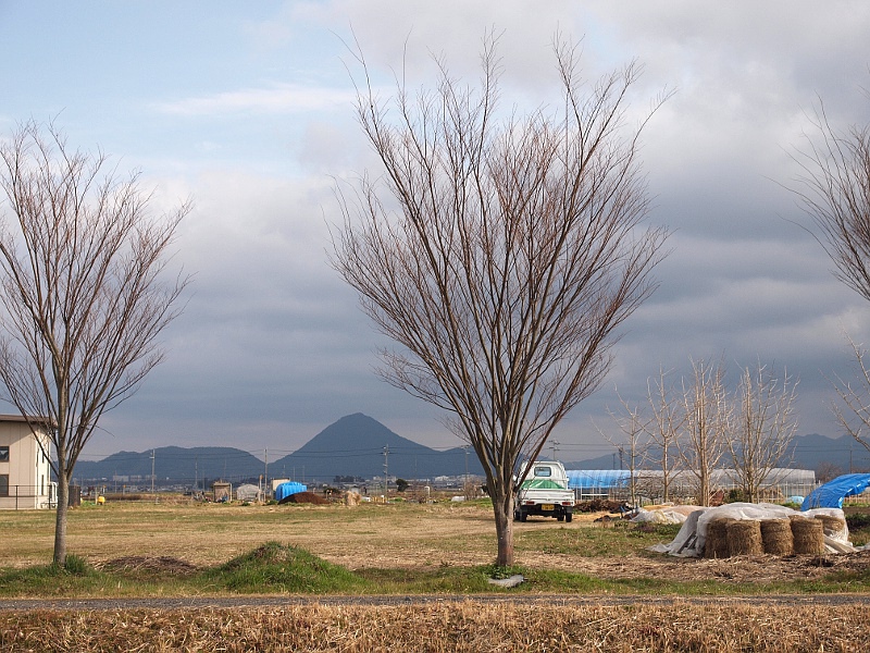 写真拡大