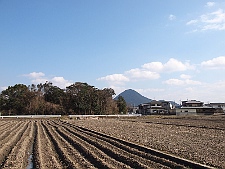 写真拡大