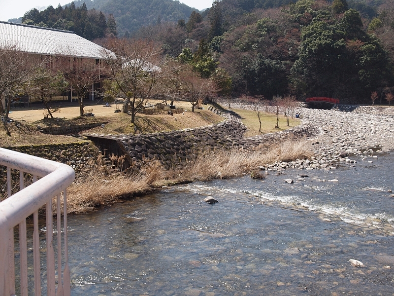 写真拡大