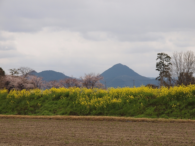 写真拡大