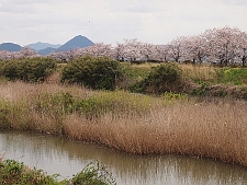 写真拡大