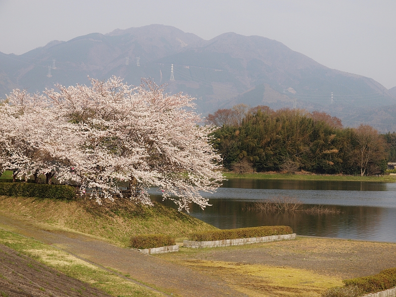 写真拡大