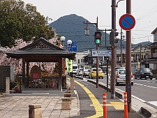 写真拡大