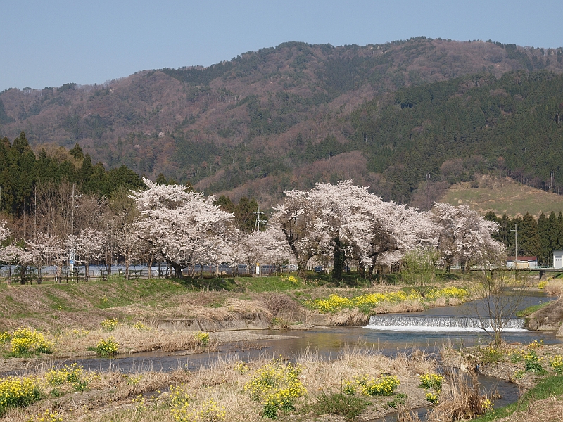 写真拡大