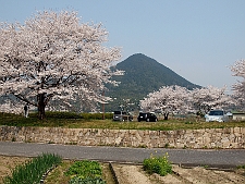 写真拡大