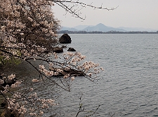 写真拡大