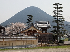 写真拡大