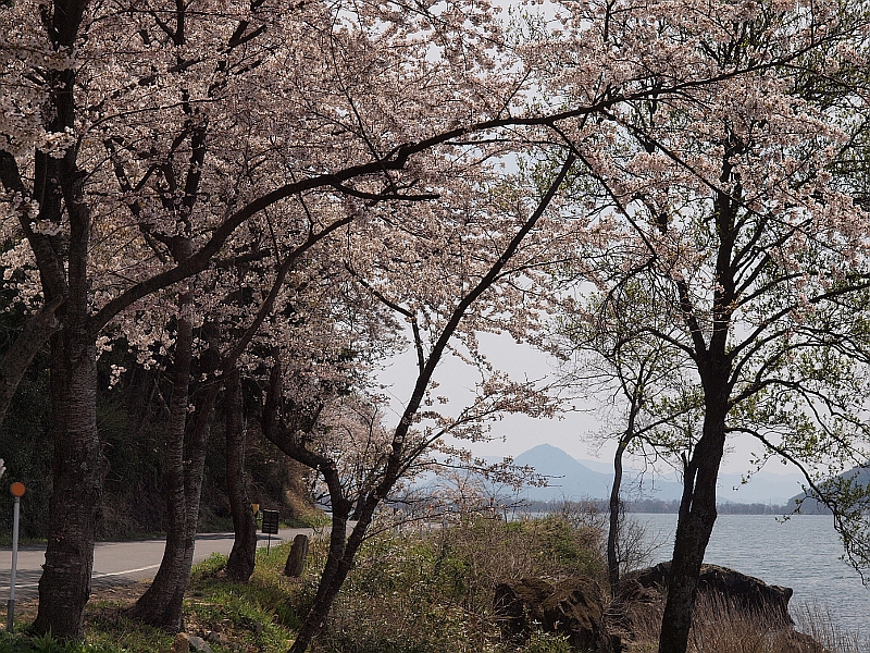 写真拡大