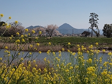 写真拡大