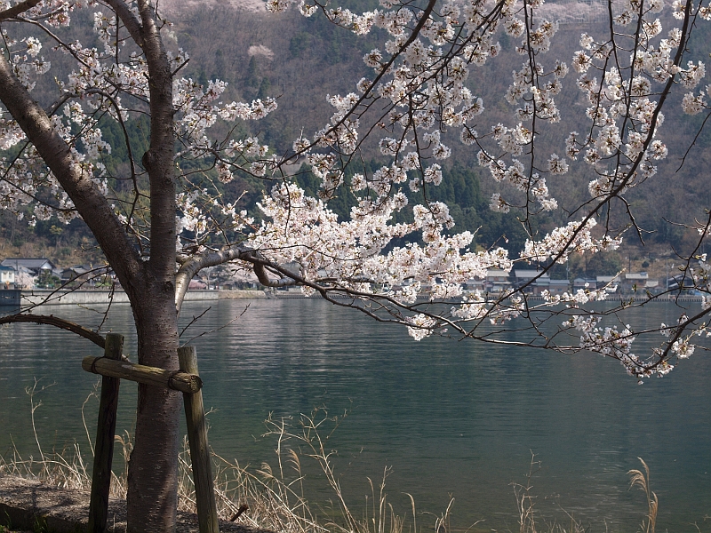 写真拡大