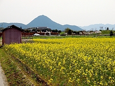 写真拡大